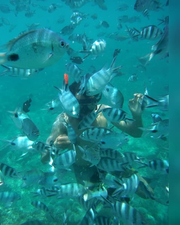 blue-bay-lagoon-snorkling-spot